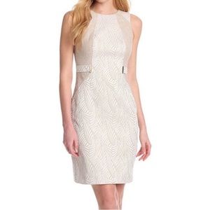 Dress and Coat Bundle